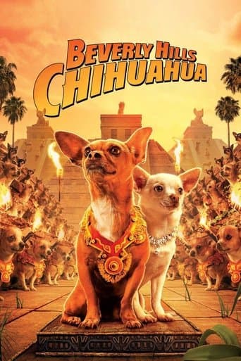Chihuahuan från Beverly Hills Stream Sverige