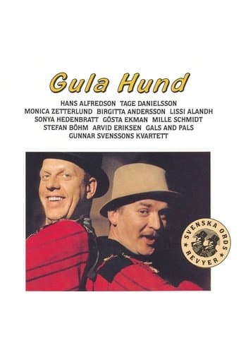 Gula Hund Stream Sverige
